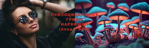 прущая мука Алзамай