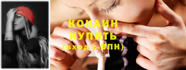 СК Алексин
