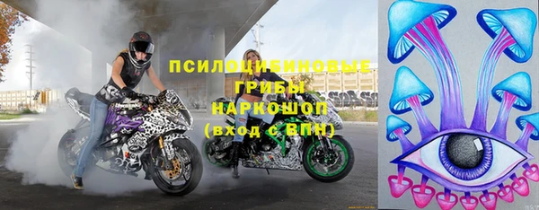 СК Алексин