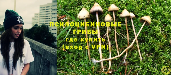 твердый Алексеевка