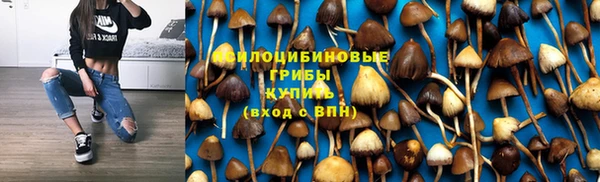СК Алексин
