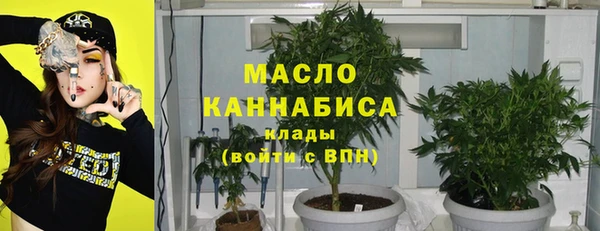 СК Алексин