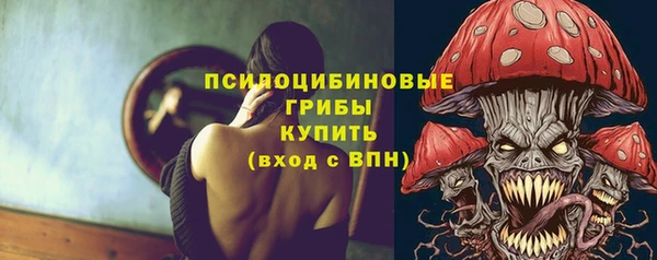твердый Алексеевка