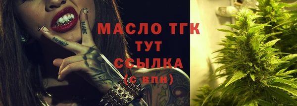 СК Алексин